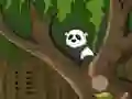 Spel Panda Jungle Escape aanlyn