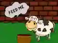 Spel Find The Cow Feed aanlyn