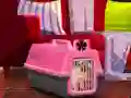 Spel Escape The Small Pug aanlyn