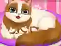 Spel Cute Kitty Pregnant aanlyn