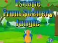 Spel Escape from Scenery Jungle aanlyn
