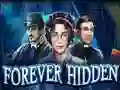 Spel Forever Hidden aanlyn