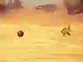 Spel Monkey Shooting aanlyn