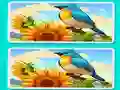 Spel Spot the Difference The Garden aanlyn