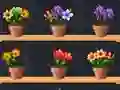 Spel Good Flower Master aanlyn
