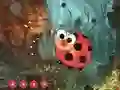 Spel Cute Ladybug Land Escape aanlyn