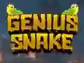 Spel Genius Snake aanlyn