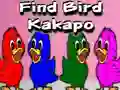 Spel Find Bird Kakapo aanlyn