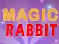 Spel Magic Rabbit aanlyn