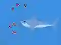 Spel Oceans Shees aanlyn