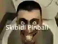 Spel Skibidi Pinball aanlyn