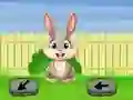 Spel Springtime Escape aanlyn