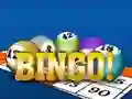 Spel Bingooo 2024 aanlyn