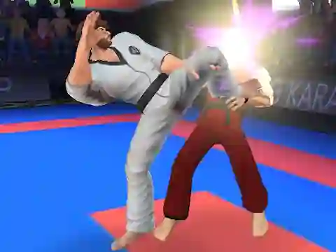 Spel Karate Fighter aanlyn