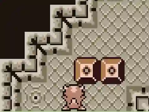 Spel Sokoban Dragon aanlyn