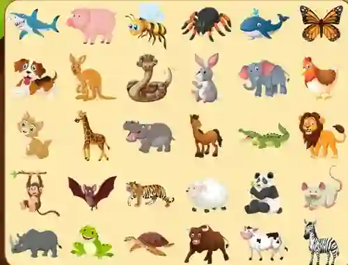 Spel Discover Animals aanlyn