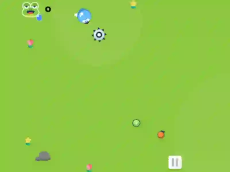 Spel Snake And Fruits aanlyn