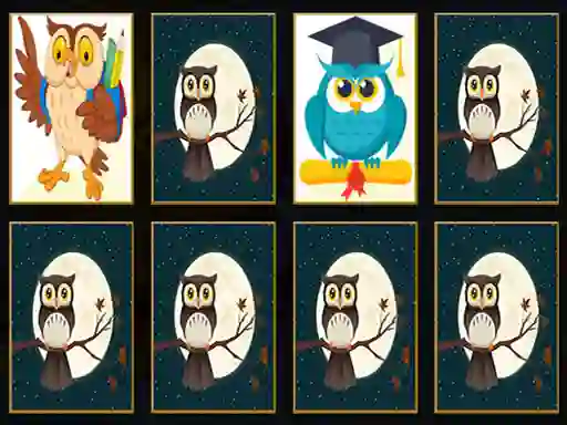 Spel Cute Owl Memory aanlyn