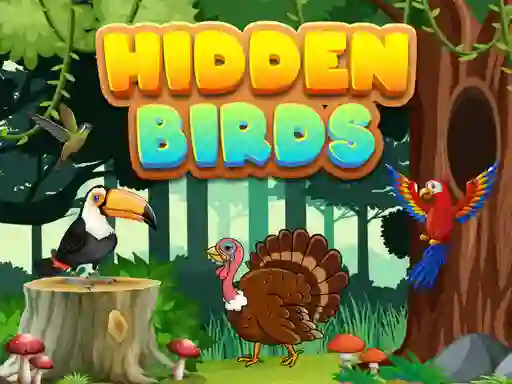 Spel Hidden Birds aanlyn