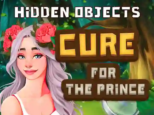 Spel Hidden Objects Cure For The Prince aanlyn