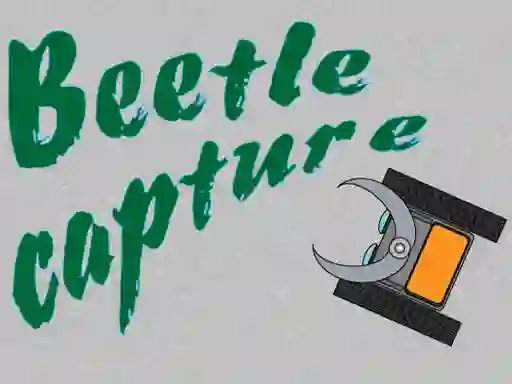 Spel Beetle Capture aanlyn