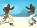 Spel Capoeira fighter aanlyn
