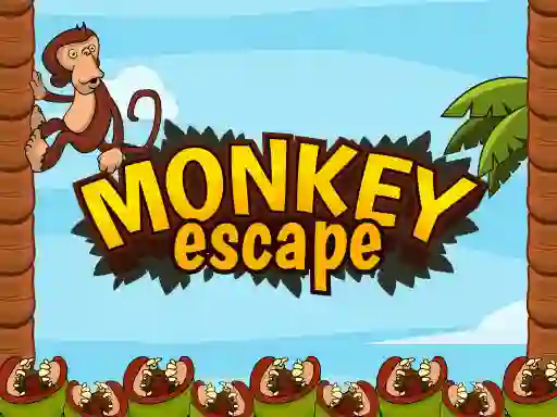 Spel Monkey Escape aanlyn