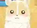 Spel Hamster Love aanlyn