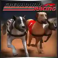 Spel Greyhound Racing aanlyn