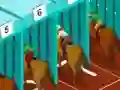 Spel Derby racing aanlyn