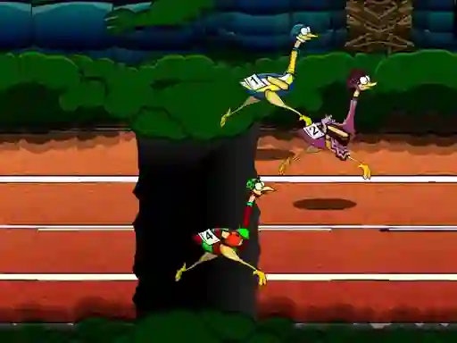 Spel Big Birds Racing aanlyn