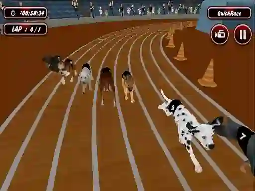 Spel Crazyl Dog Racing Fever aanlyn