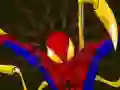 Spel Spiderman Customization aanlyn