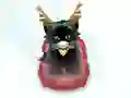 Spel Pet Sledding aanlyn