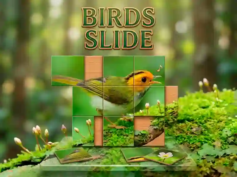 Spel Birds Slide aanlyn