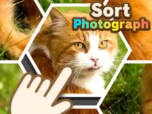 Spel Sort Photograph aanlyn