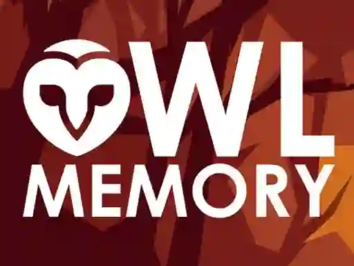 Spel Owl Memory aanlyn