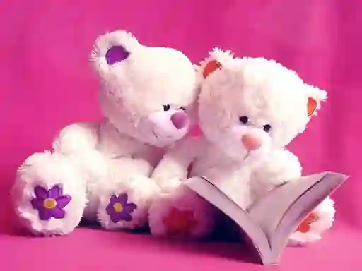 Spel Cute Teddy Bears Slide aanlyn
