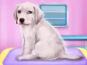Spel Labrador at the doctor salon aanlyn