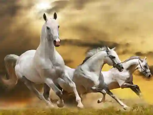 Spel Running Horse Slide aanlyn