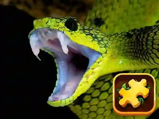 Spel Snake Puzzle Challenge aanlyn