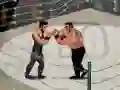 Spel Smash Boxing aanlyn