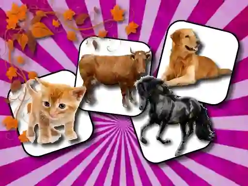 Spel Domestic Animal Memory Challenge aanlyn