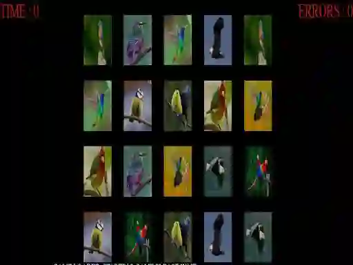 Spel Memorize the birds aanlyn
