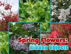 Spel Spring Flowers: Hidden Objects aanlyn