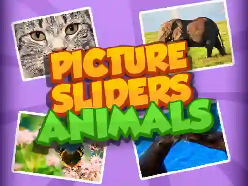 Spel Picture Slider Animals aanlyn
