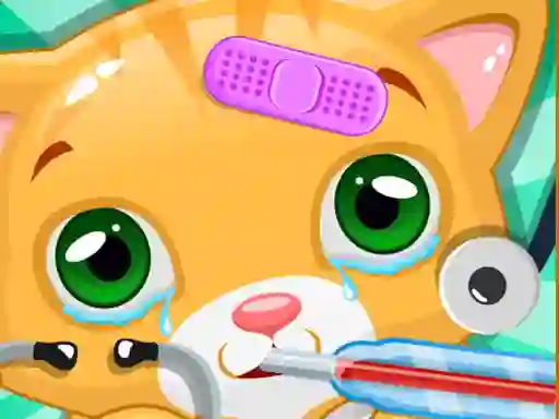 Spel Little Cat Doctor aanlyn