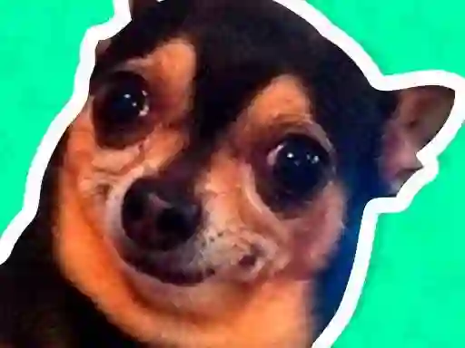 Spel What meme dog are you ? aanlyn