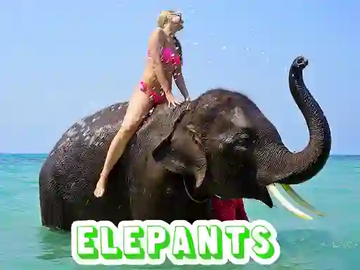 Spel Elephants Puzzle aanlyn