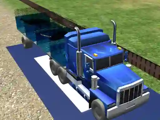 Spel Sea Animal Transport aanlyn